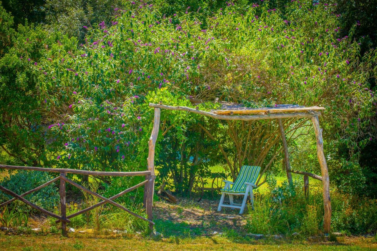 Apartament Agriturismo Bio Tra Cielo E Terra Grutti Zewnętrze zdjęcie