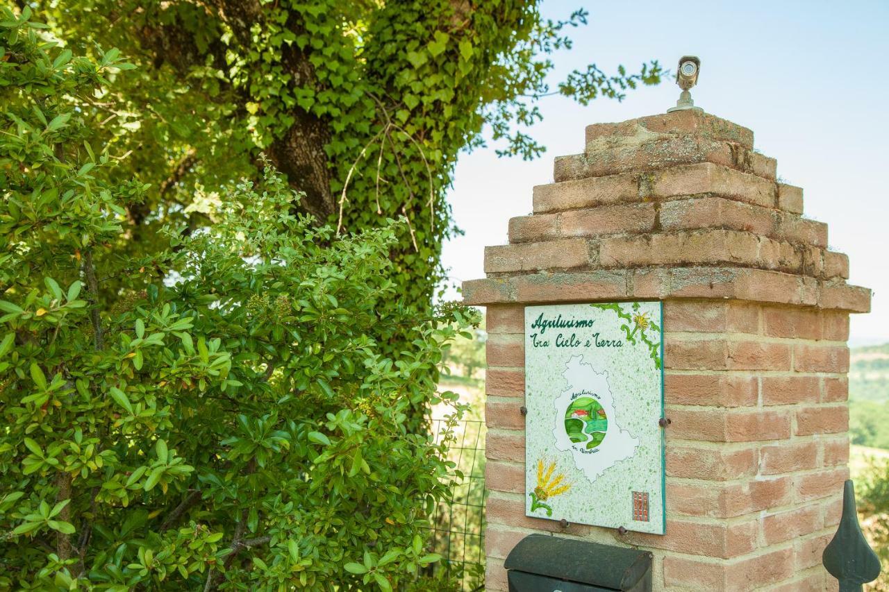 Apartament Agriturismo Bio Tra Cielo E Terra Grutti Zewnętrze zdjęcie